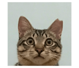 625782478