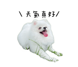 625832907