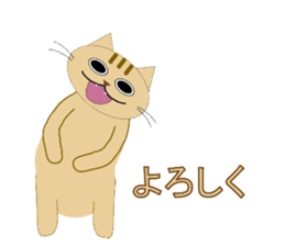 625899911