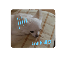 625900900