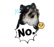 625947787