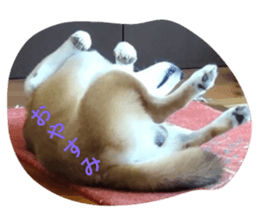 625948687