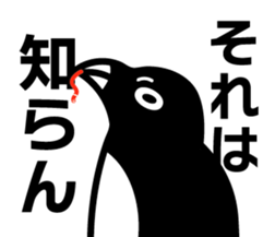 625969672