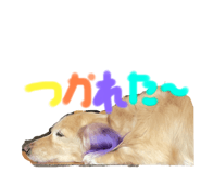 625973192