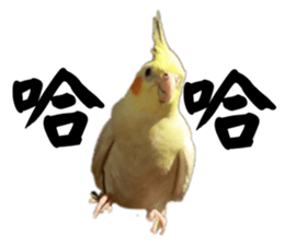 625983090