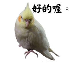 625983095