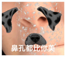 625999520
