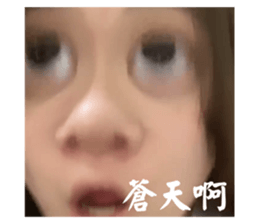 626000337