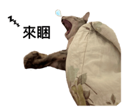 626005959