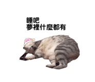 626005961