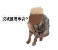 626005965