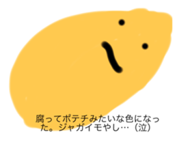 626022384