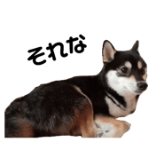 626033809