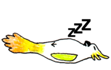 62607718