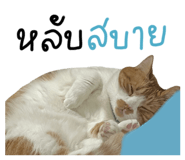 626130434