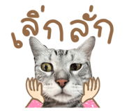 626130440