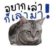 626130460
