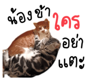 626130467
