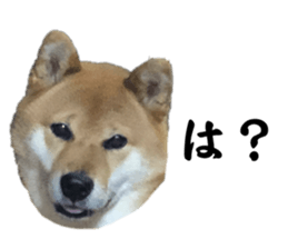 626148213