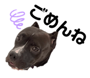 626148983