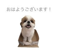 626208002