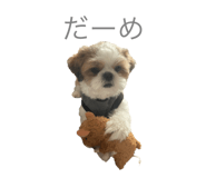 626208004