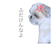 626208006