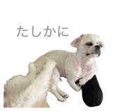 626208007
