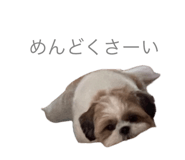 626208008