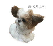 626208010