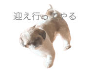 626208012