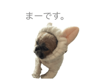 626208013