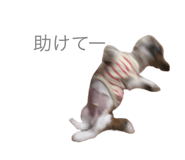 626208014