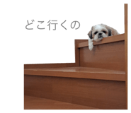 626208017