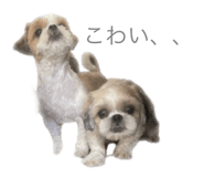 626208020