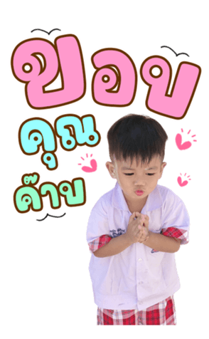 626224494