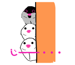 626230414