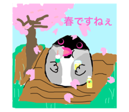 626230417