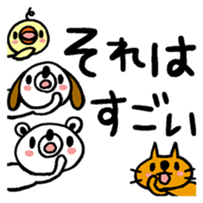 62623844