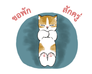 ลายที่ 8