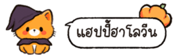 626250686