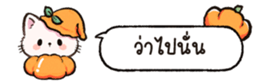 626250698