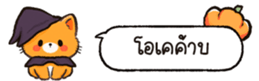 626250718