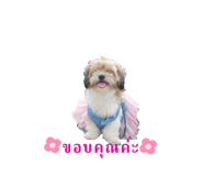 626256225