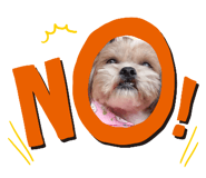 626256229