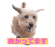 626258028
