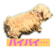 626258041