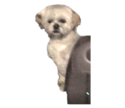 626305763