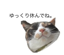 626313466