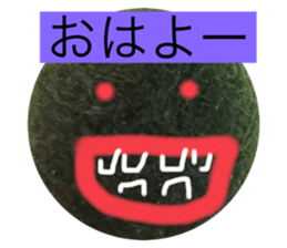 626337718